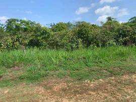 Approx 2acres land 4sale