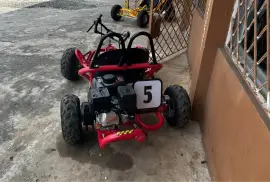 Brand New Go Karts