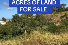 3 AND A HALF ACRES OF LAND