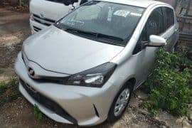 new import vitz